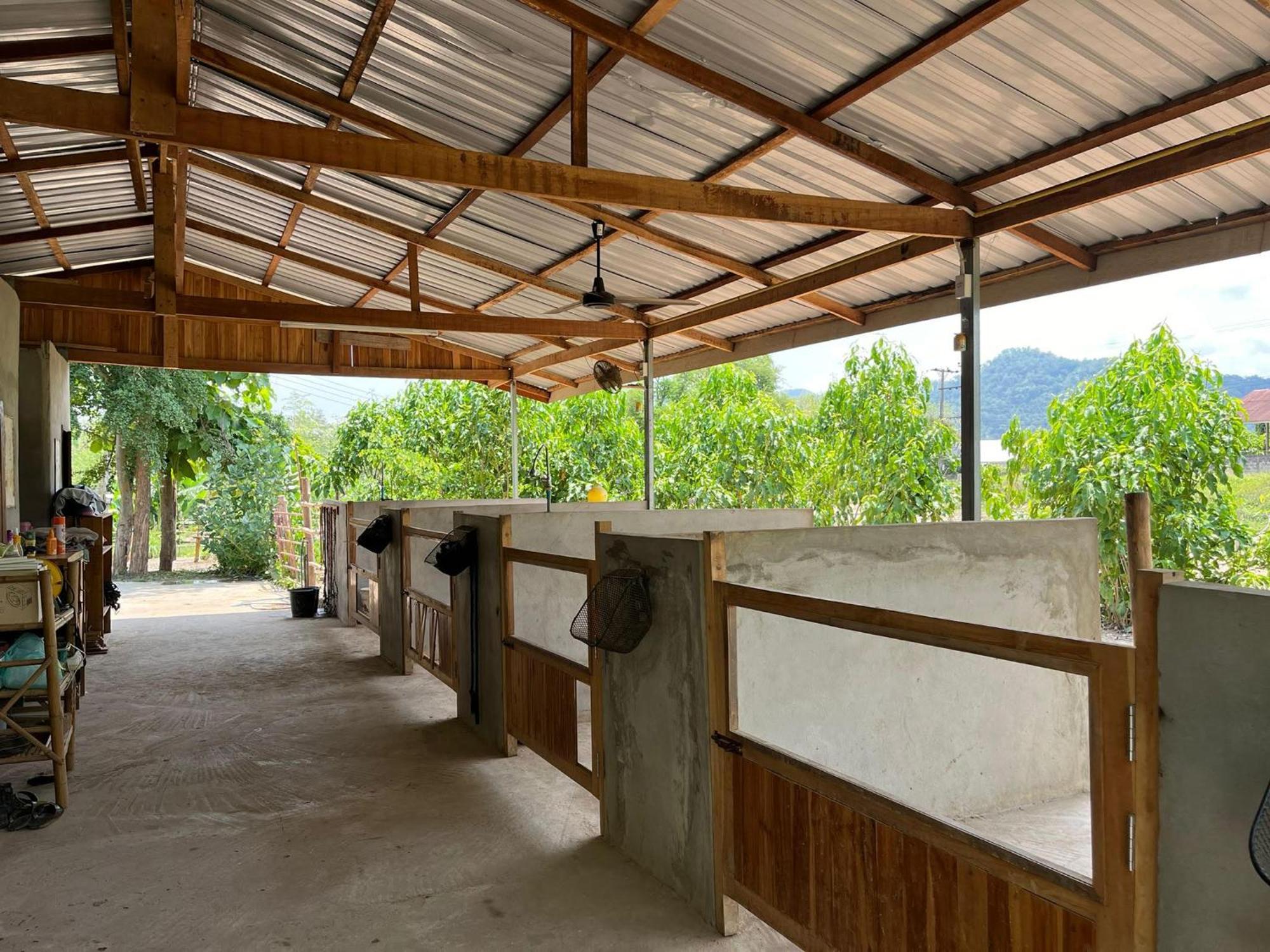Namkhan Horses Stables Luang Prabang Extérieur photo